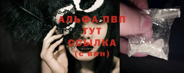 индика Кукмор