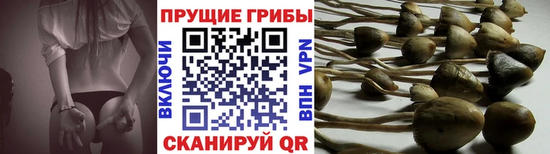 Псилоцибиновые грибы Magic Shrooms Нурлат