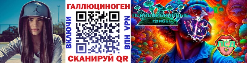 купить   Нурлат  Псилоцибиновые грибы мицелий 