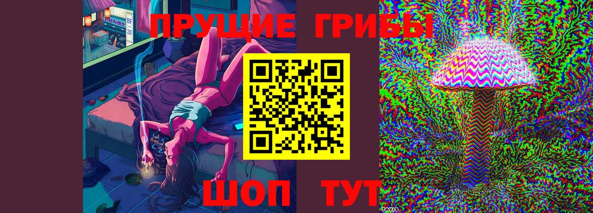 Псилоцибиновые грибы Cubensis  Псилоцибиновые грибы Psilocybe  Вход с VPN  Нурлат 