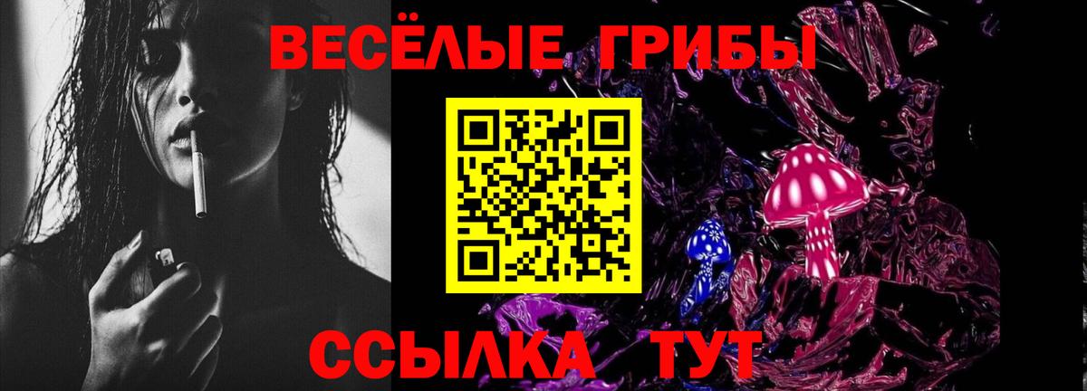 Галлюциногенные грибы Psilocybine cubensis Нурлат