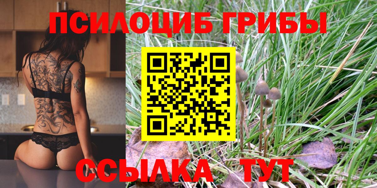 Псилоцибиновые грибы GOLDEN TEACHER Нурлат