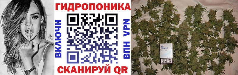 Канабис конопля  Нурлат 